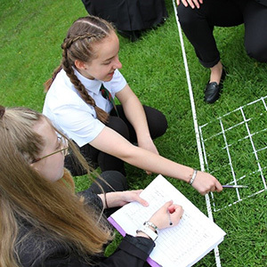 pupils using a transect on grass